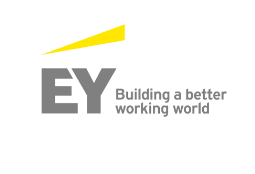 شريك الإرشاد​